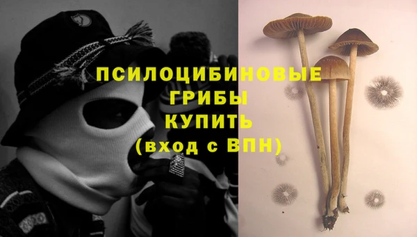 винт Аркадак