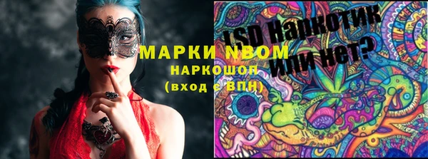 винт Аркадак
